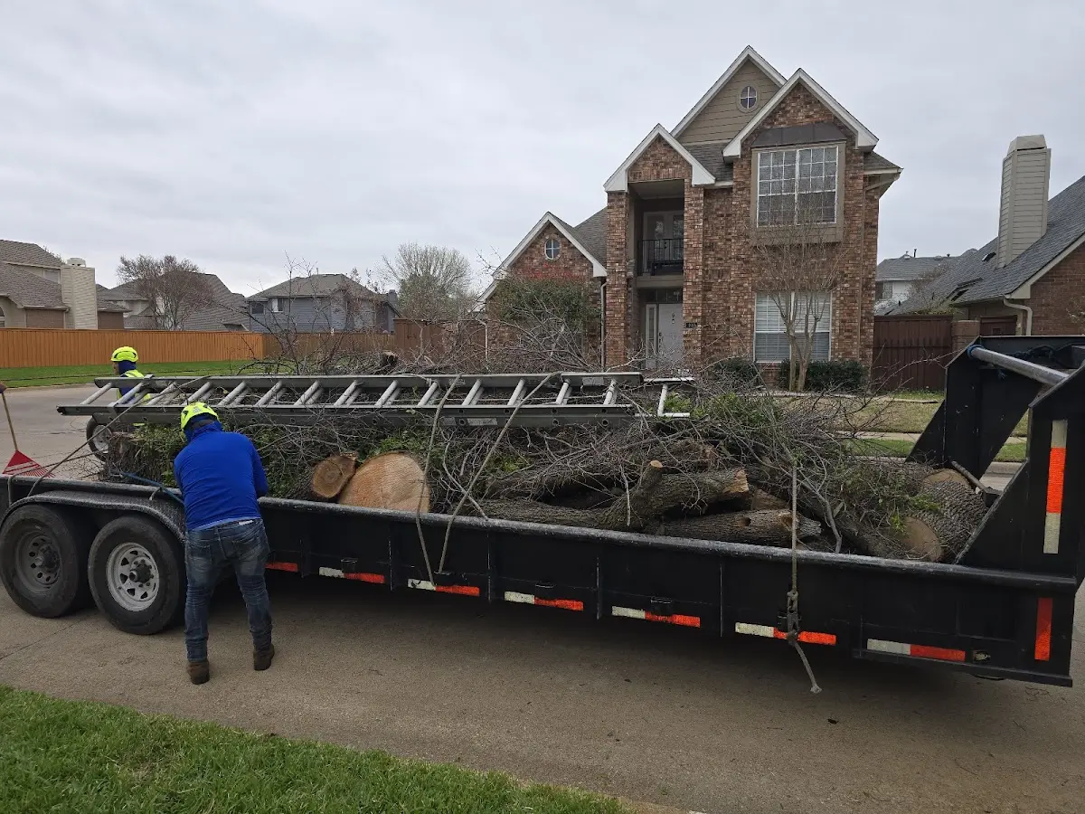 Expert Tree Removal with proper safety equipment in Coopersburg